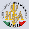 Logo HSA small